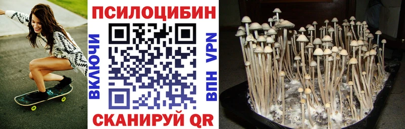 Галлюциногенные грибы мицелий  МЕГА маркетплейс  Богучар 
