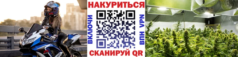 Канабис сатива  где найти   это телеграм  Богучар 